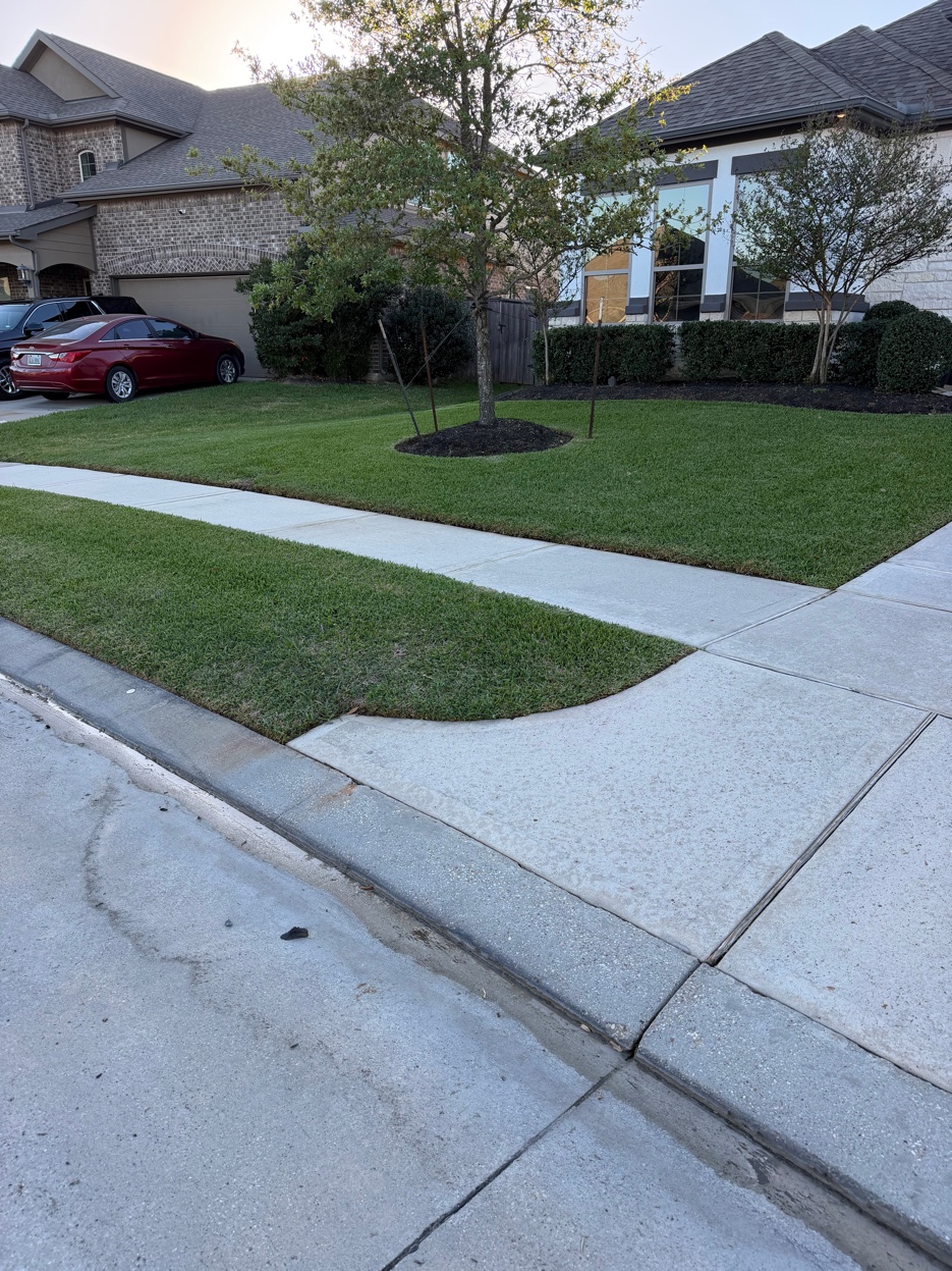 Sidewalk and curb after pressure washing